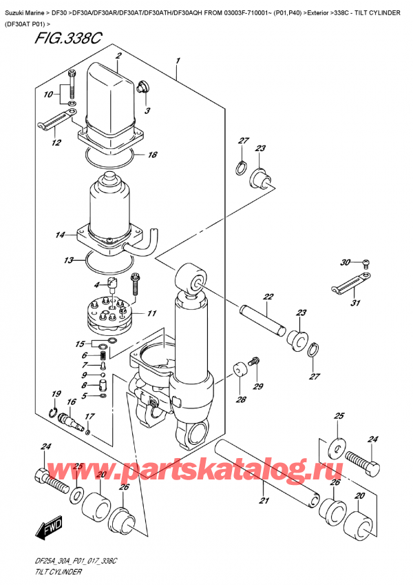  ,   , SUZUKI DF30A TS / TL FROM 03003F-710001~ (P01) ,   (Df30At P01) / Tilt  Cylinder  (Df30At  P01)