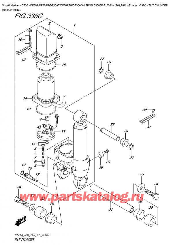  ,   , SUZUKI DF30A TS / TL FROM 03003F-710001~ (P01)   2017 , Tilt  Cylinder  (Df30At  P01) /   (Df30At P01)