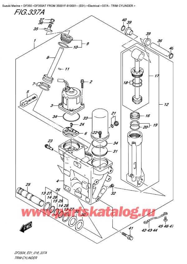 ��������� ��������, �� �������� �����, Suzuki DF350A TX / TXX FROM 35001F-810001~ (E01), Trim  Cylinder