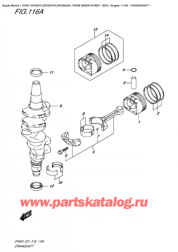��������, �� �������� �����, Suzuki DF40A TS/TL FROM 04003F-810001~ (E01), �������� / Crankshaft