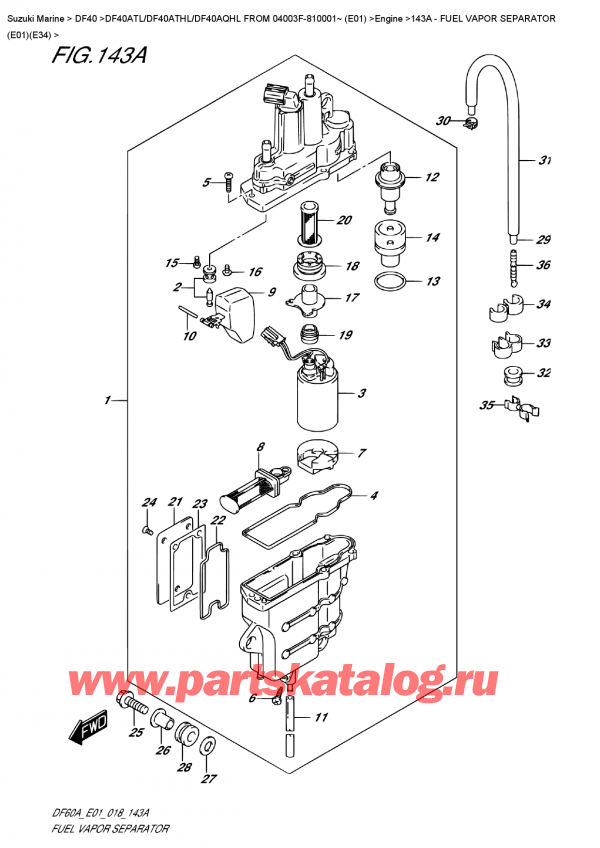 ��������� ������������ ��������, �� �����, SUZUKI DF40A TS/TL FROM 04003F-810001~ (E01), Fuel  Vapor  Separator  (E01)(E34)