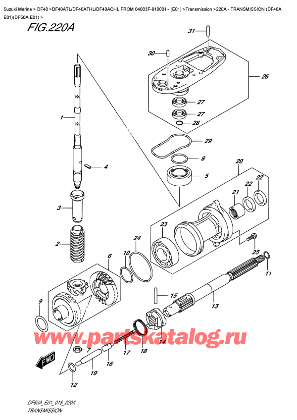  ,   , SUZUKI DF40A TS/TL FROM 04003F-810001~ (E01), Transmission  (Df40A  E01)(Df50A  E01)