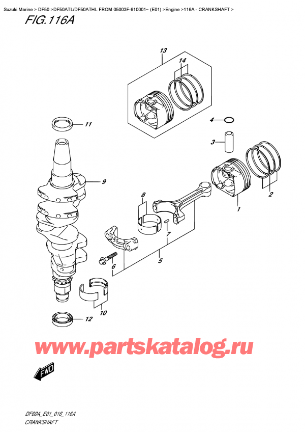 ������ ������������ ��������, �� �������� ��������� �����, Suzuki DF50A TS/TL FROM 05003F-610001~ (E01) ������ 2016 ����, ��������