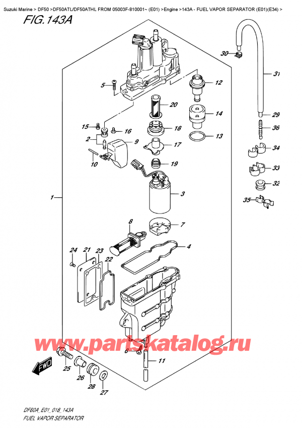 ��������, �� ��������� �������� ���������, Suzuki DF50A TS/TL FROM 05003F-810001~ (E01) ������ 2018 ����, ���������� ����� ������� (E01) (E34) - Fuel Vapor  Separator  (E01)(E34)