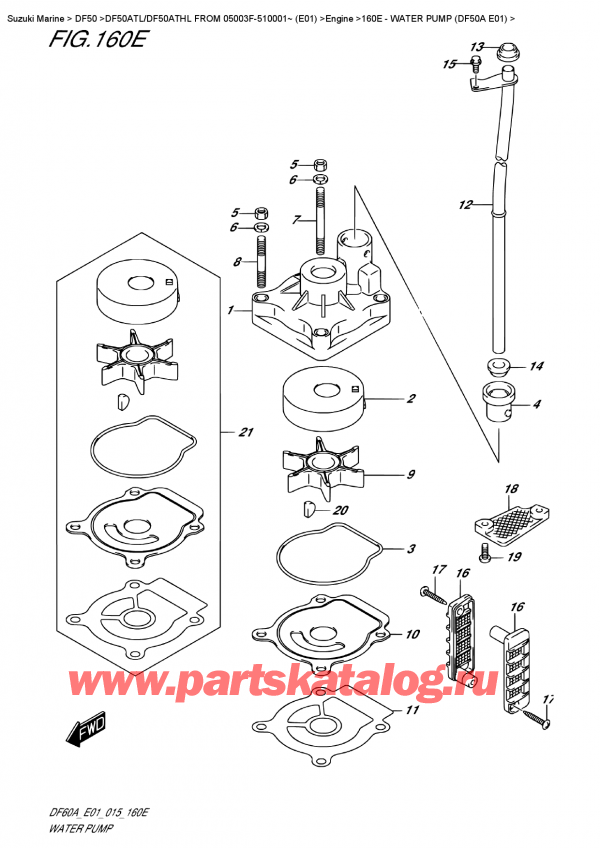 ,   , Suzuki DF50A TS/TL FROM 05003F-510001~ (E01)  2015 , Water Pump  (Df50A  E01) /   (Df50A E01)
