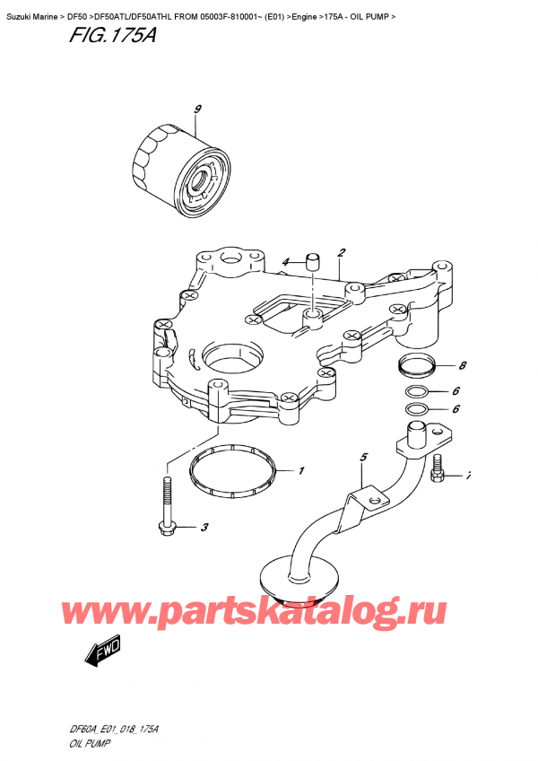 ��������, �� �������� �����, Suzuki DF50A TS/TL FROM 05003F-810001~ (E01), Oil Pump