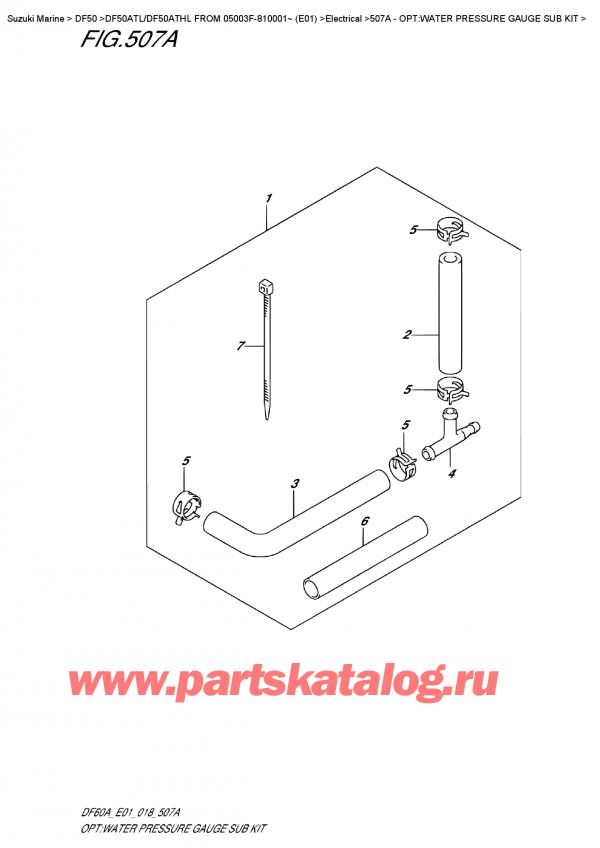  ,   ,  DF50A TS/TL FROM 05003F-810001~ (E01), Opt:water  Pressure  Gauge  Sub  Kit / :     