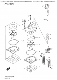 160G - Water Pump  (Df60A  E01) (160G -   (Df60A E01))