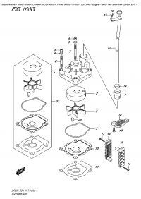 160G - Water Pump  (Df60A  E01) (160G -   (Df60A E01))