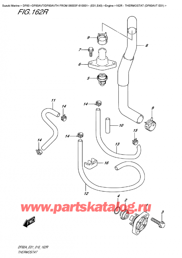 ,    , Suzuki DF60AV TL / TX FROM 06003F-610001~    (E01)    2016 , Thermostat  (Df60Avt  E01)