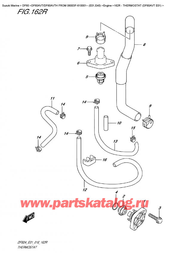   ,  , SUZUKI DF60AV TL / TX FROM 06003F-610001~    (E01)    2016 ,  (Df60Avt E01) - Thermostat  (Df60Avt  E01)