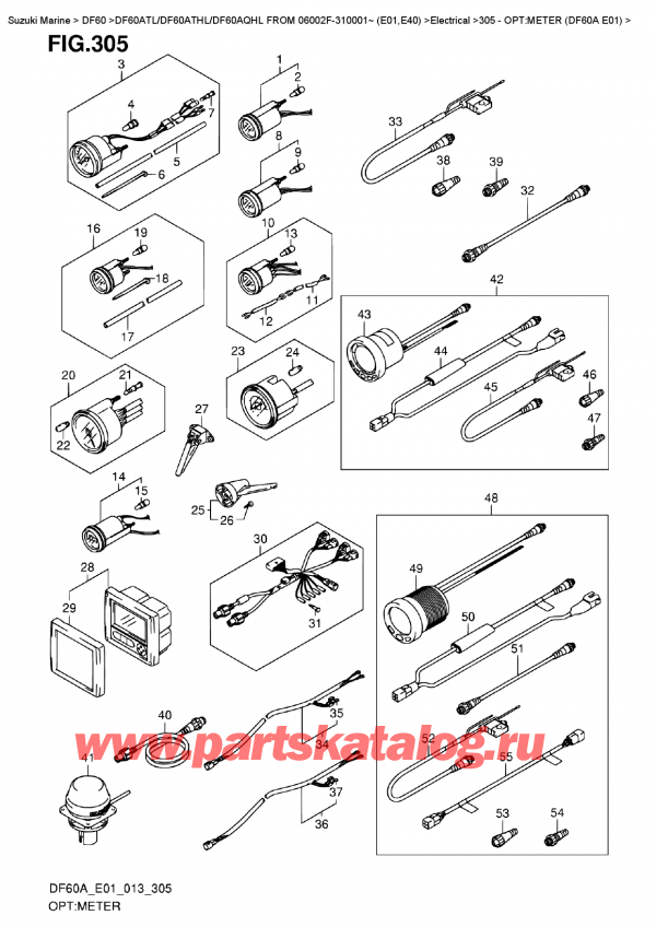   ,   , Suzuki DF60A TL/TS FROM 06002F-310001~ (E01), :  (Df60A E01) / Opt:meter  (Df60A  E01)