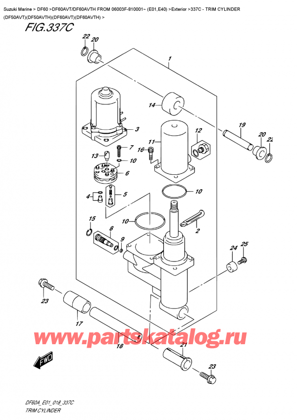  ,   , Suzuki DF60AV TL / TX FROM 06003F-810001~ (E01), Trim  Cylinder  (Df50Avt)(Df50Avth)(Df60Avt)(Df60Avth)