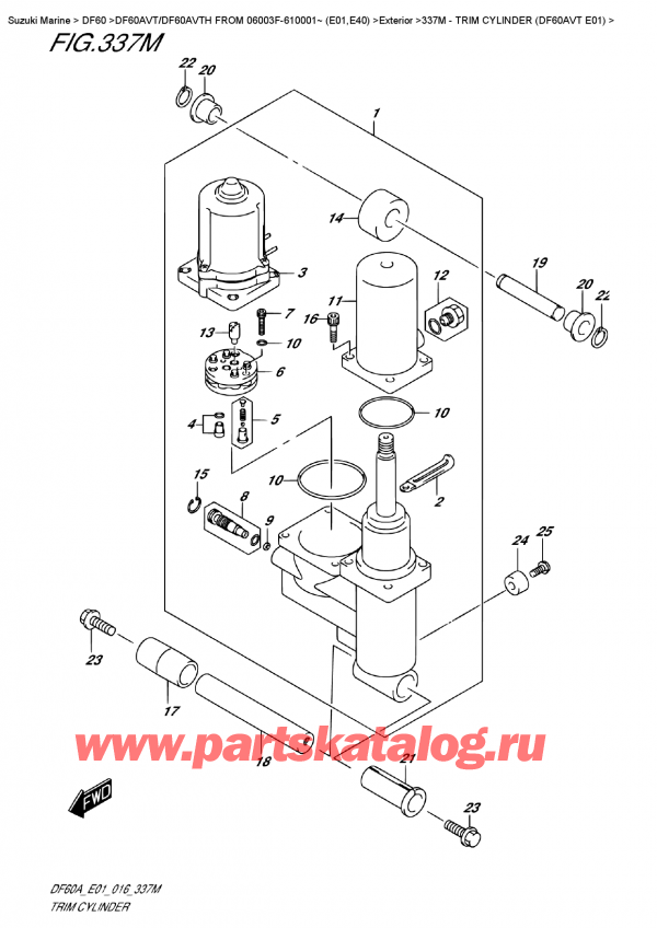  ,   , Suzuki DF60AV TL / TX FROM 06003F-610001~    (E01)    2016 , Trim  Cylinder  (Df60Avt  E01)