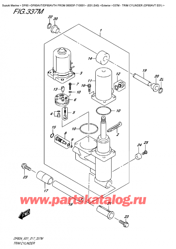  ,   , Suzuki DF60AV TL/TX FROM 06003F-710001~ (E01)    2017 ,   (Df60Avt E01)