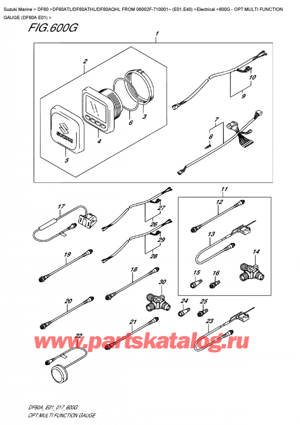  ,   ,  DF60A TS/TL FROM 06002F-710001~ (E01)   2017 , Opt:multi  Function  Gauge  (Df60A  E01)