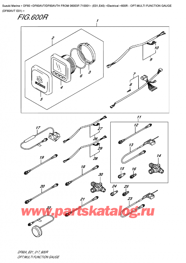 ,   ,  DF60AV TL/TX FROM 06003F-710001~ (E01)    2017 , : multi Function Gauge (Df60Avt E01)