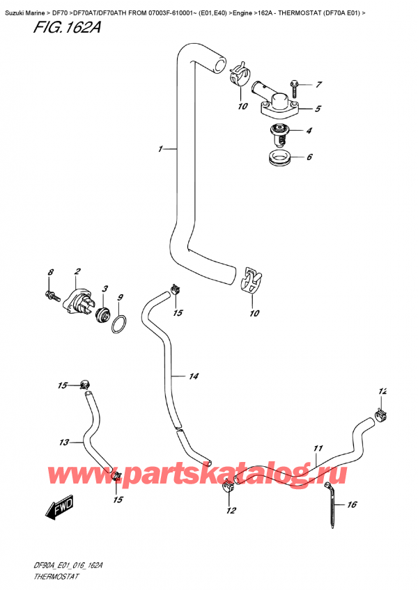  ,  , SUZUKI DF70A TS / TL FROM 07003F-610001~ (E01 016),  (Df70A E01) / Thermostat  (Df70A  E01)