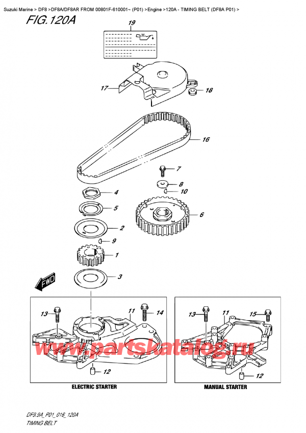   , , Suzuki Suzuki DF8A/DF8AR  FROM 00801F-610001~ (P01)   2016 ,   (Df8A P01) / Timing  Belt (Df8A P01)