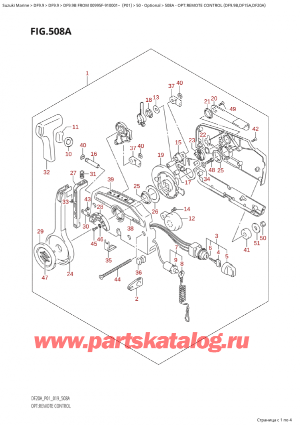 ,   , Suzuki  DF9.9B ES/EL FROM 00995F-910001~ (P01)  2019 , :   (Df9.9B, Df15A, Df20A)