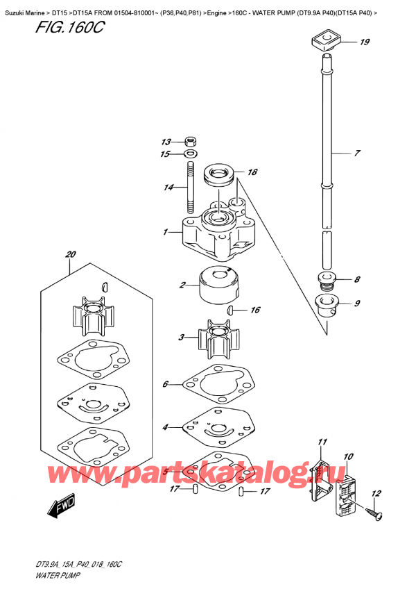 ,   , SUZUKI DT15A S / L FROM 01504-810001~ (P40 018), Water Pump (Dt9.9A  P40)(Dt15A  P40) /   (Dt9.9A P40) (Dt15A P40)