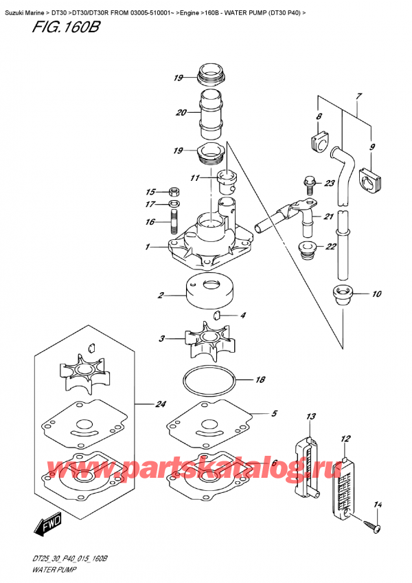  ,   , Suzuki DT30 S/L FROM 03005-510001~  2015 , Water  Pump (Dt30 P40) -   (Dt30 P40)