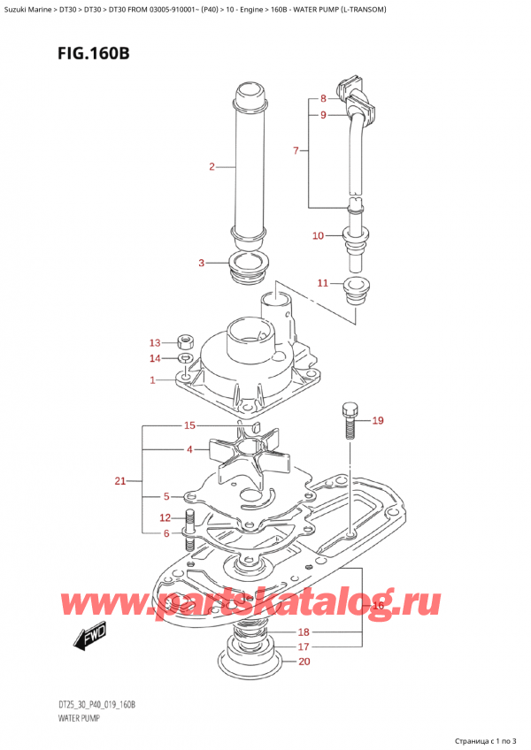  ,    , Suzuki Suzuki DT30E S / L FROM 03005-910001~ (P40 021)  2021 ,   (LTransom) / Water Pump (LTransom)