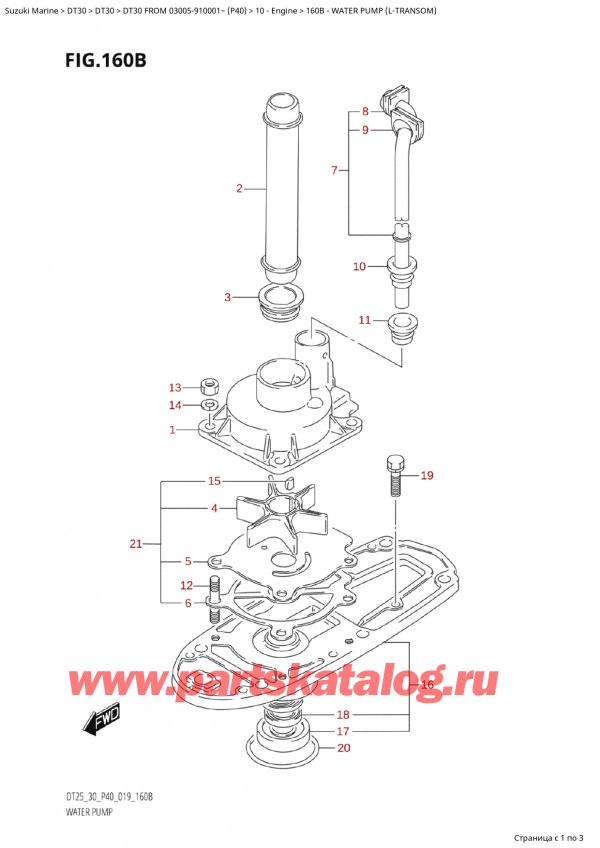 ,   , Suzuki Suzuki DT30E S / L FROM 03005-910001~ (P40 020)  2020 ,   (LTransom)