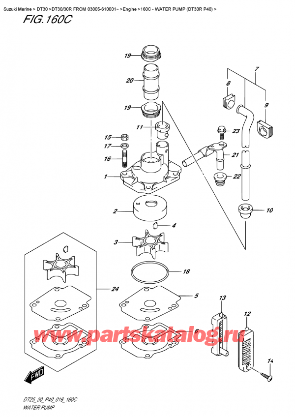  ,   , SUZUKI DT30 RS / RL  FROM 03005-610001~ ,   (Dt30R P40) - Water Pump (Dt30R P40)