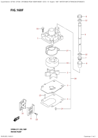 160F  -  Water  Pump  (X-Transom:df100B:e01) (160F -   (X-Transom: df100B: e01))