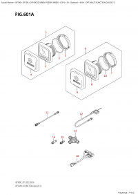 601A - Opt:multi Function Gauge (1) (601A - : multi Function Gauge (1))