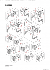 530B - Opt:switch (530B - : )
