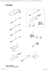 602A  -  Opt:multi  Function  Gauge  (2) (602A - �����: multi Function Gauge (2))