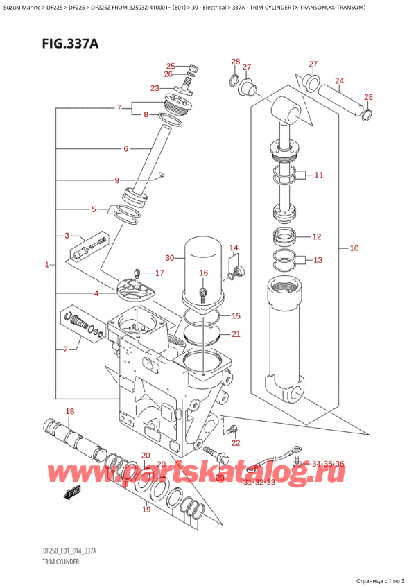 ,   , Suzuki Suzuki DF225Z X / XX FROM 22503Z-410001~  (E01) - 2014,   (XTransom, XxTransom)