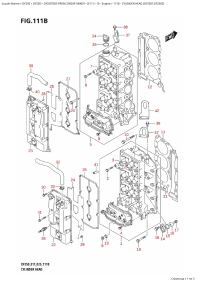 111B - Cylinder Head (Df250T,Df250Z) (111B -    (Df250T, Df250Z))