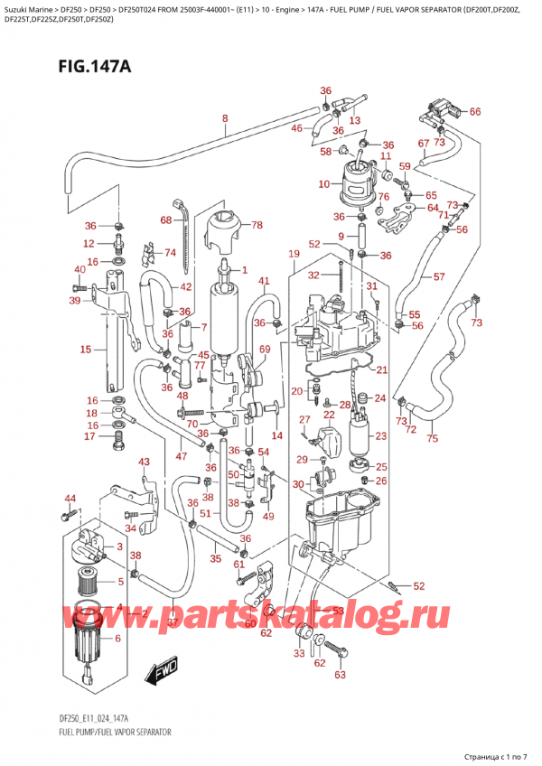  ,  ,  Suzuki DF250T X / XX FROM 25003F-440001~  (E11 024)  2024 ,   /    (Df200T, Df200Z,