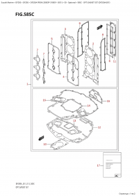 585C - Opt:gasket Set (Df250A:e01) (585C - :   (Df250A: e01))