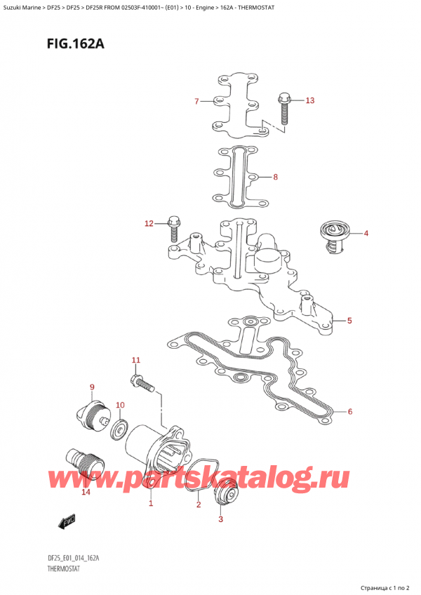   ,   , Suzuki Suzuki DF25R S /L FROM 02503F-410001~  (E01) - 2014,  / Thermostat