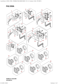 530A  -  Opt:switch (530A - �����: �������������)
