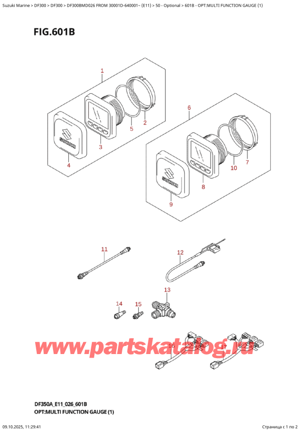 ������ ��������, �� ��������� �������� ���������, SUZUKI DF300BMD X / XX FROM 30001D-640001~ (E11 026) , Opt:multi  Function  Gauge  (1)