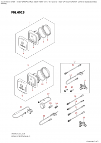602B  -  Opt:multi  Function  Gauge  (2)  ((022,023):(Df300A, (602B - : multi Function Gauge (2) ( (022, 023) : (Df300A,)