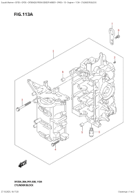 113A  -  Cylinder  Block (113A -  )