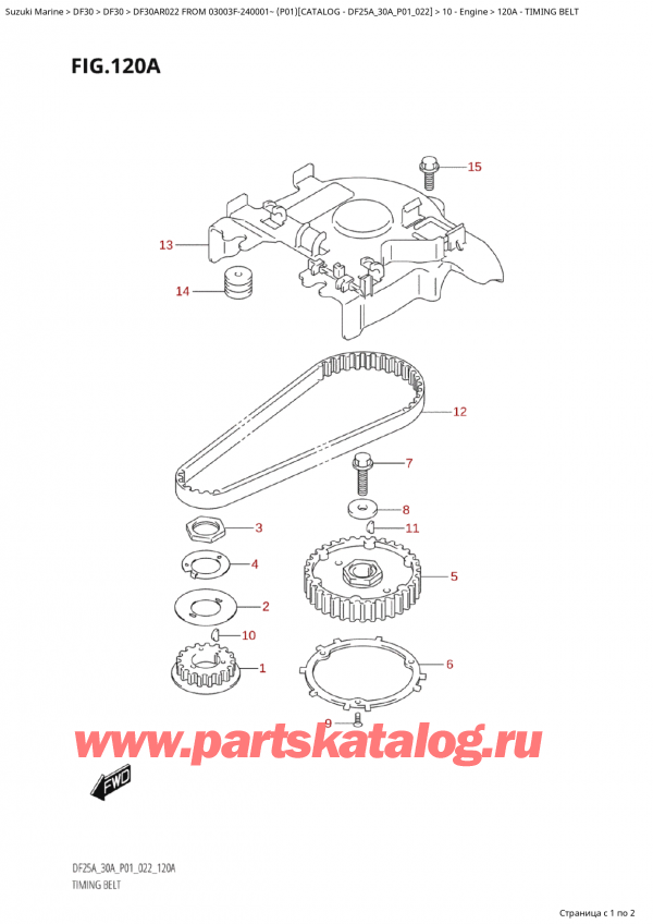 ,   , Suzuki Suzuki DF30A RS / RL FROM 03003F-240001~  (P01) - 2022  2022 , Timing  Belt