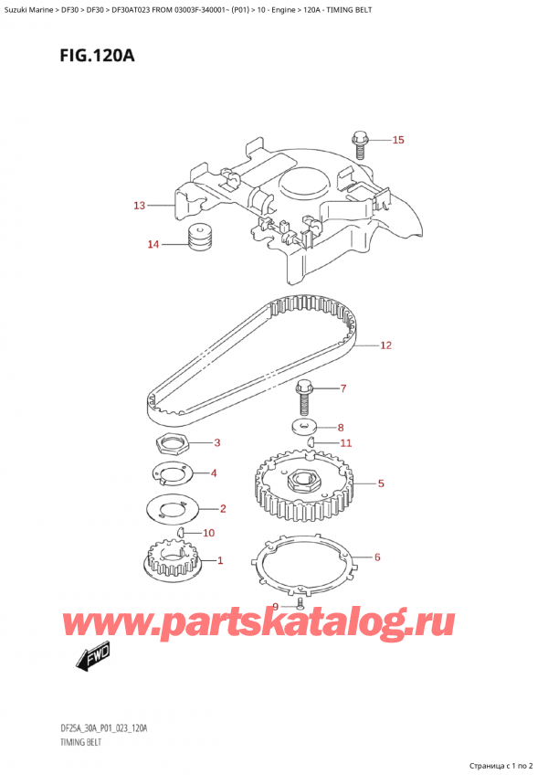  ,   , Suzuki Suzuki DF30A TS / TL FROM 03003F-340001~  (P01) - 2023,   / Timing Belt