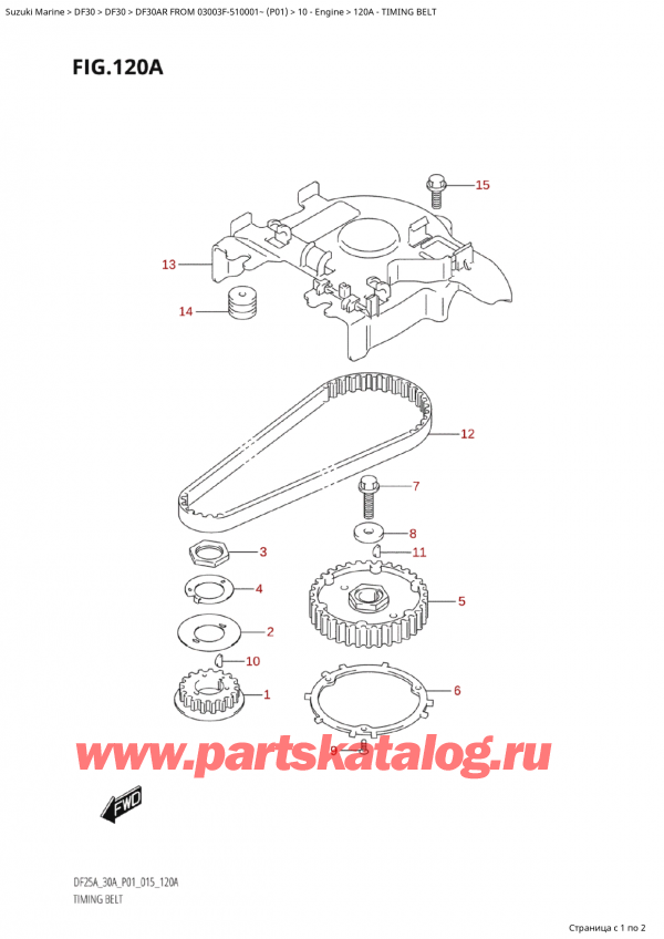   ,   , Suzuki Suzuki DF30A RS / RL FROM 03003F-510001~  (P01) - 2015, Timing Belt /  