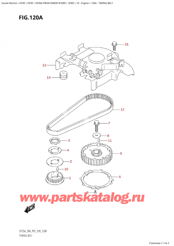  ,   , Suzuki Suzuki DF30A S / L FROM 03003F-810001~  (P40) - 2018,   / Timing Belt