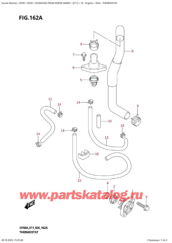 �������������, �� ��������� �������� ���������, Suzuki DF50A TS / TL FROM 05003F-640001~ (E11 026) ������ 2026 ����, Thermostat - ���������