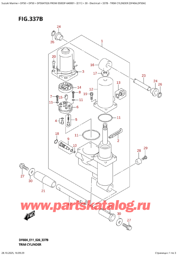   ,    , Suzuki DF50A TS / TL FROM 05003F-640001~ (E11 026)  2026 ,   (Df40A, Df50A) / Trim  Cylinder  (Df40A,Df50A)