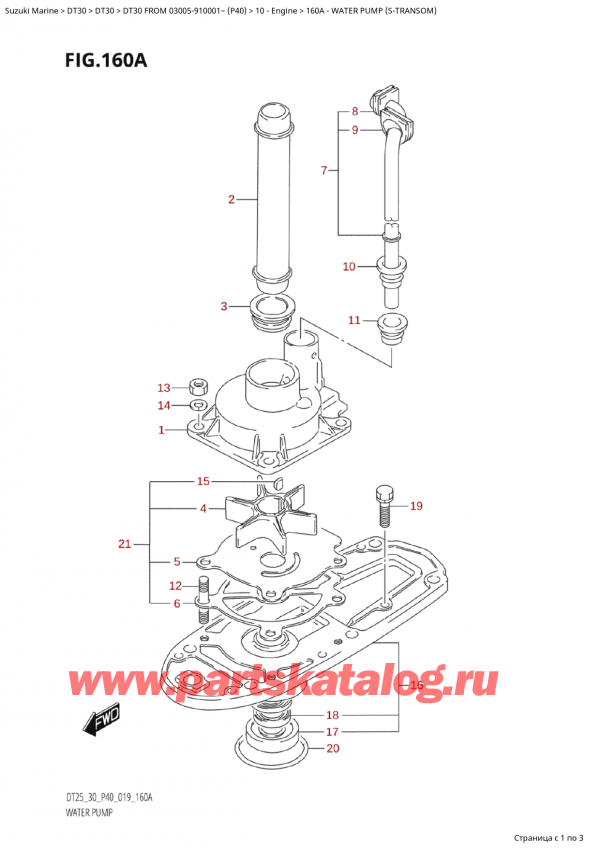 ,   ,  Suzuki DT30 FROM 03005-910001~ (P40) - 2022  2022 , Water Pump (STransom) /   (STransom)