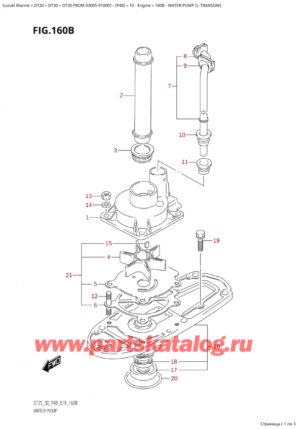 ,   , Suzuki Suzuki DT30 FROM 03005-910001~ (P40) - 2022  2022 , Water Pump (LTransom) /   (LTransom)